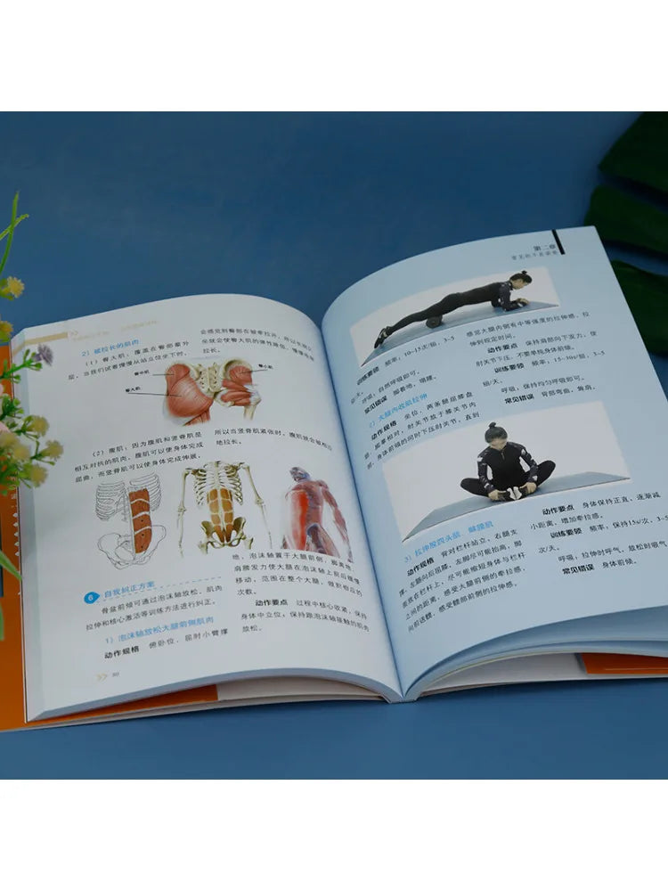 Book-Winshare The Posture Correction Manual Will Give You a Healthy Body